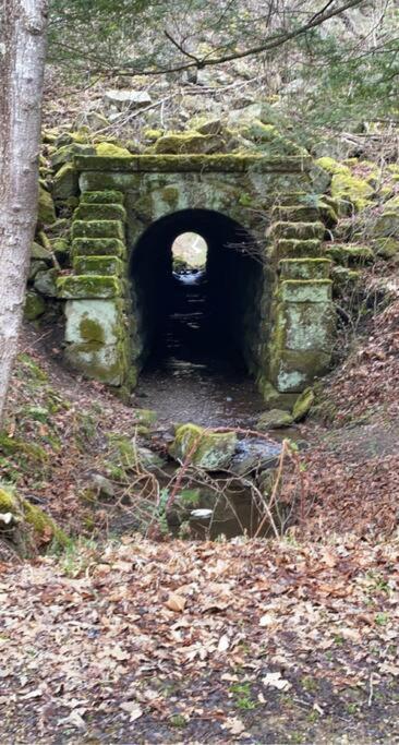 Sheppard'S Holler Βίλα Dingess Εξωτερικό φωτογραφία